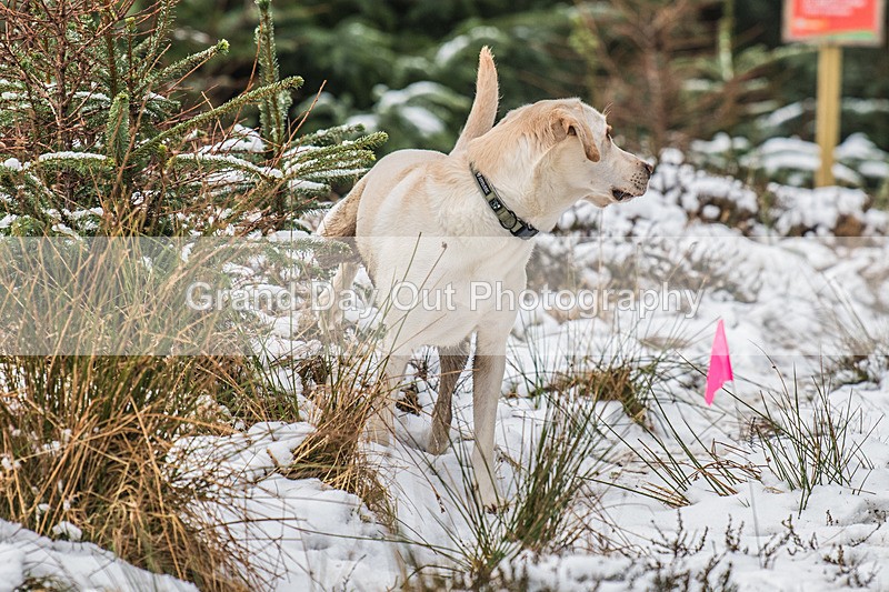 Glentress-2272 - High Terrain Events Glentress 10K 21K & 42K Trail Races Sunday 16th February 2025