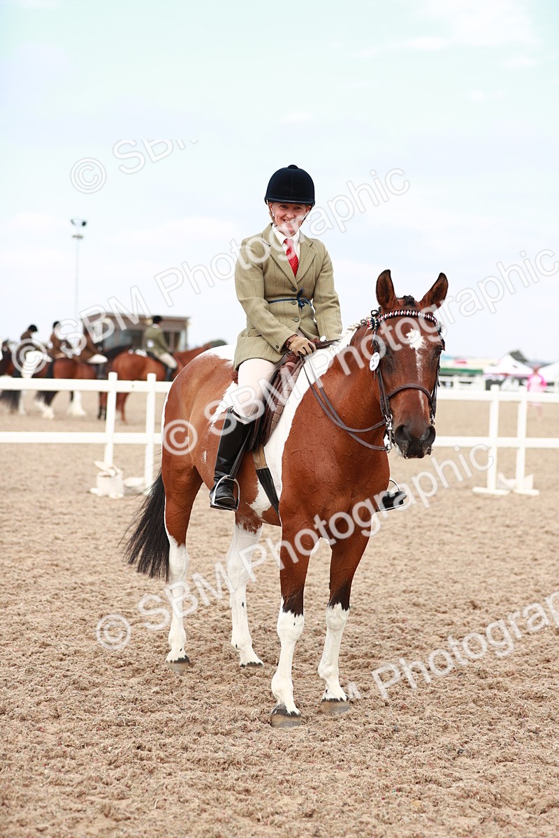 SBM_17591 - Class 215 Ridden Hack/ Riding Horse