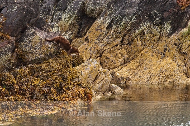 DSC01893 - Easdale West Scotland