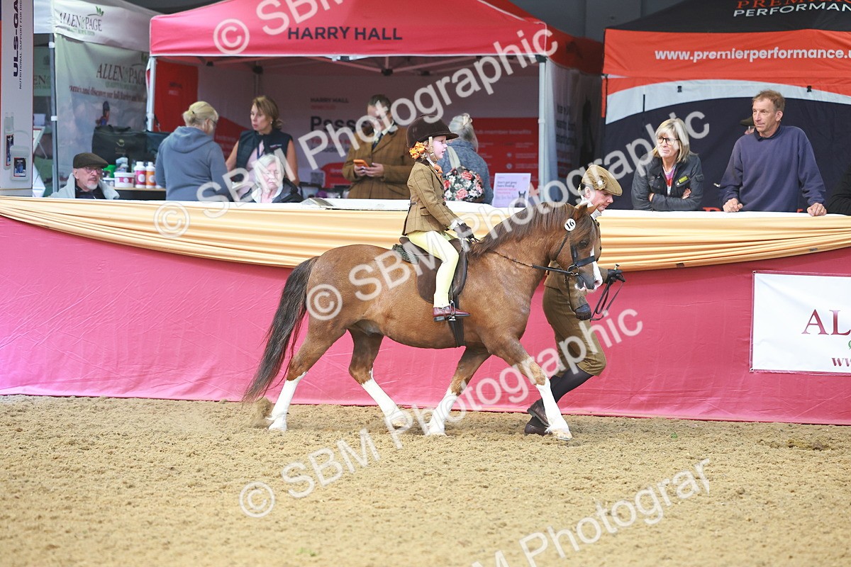 SBM_12492 - Class 103 - HOYS Veteran Qualifier - Ridden Pre Vet