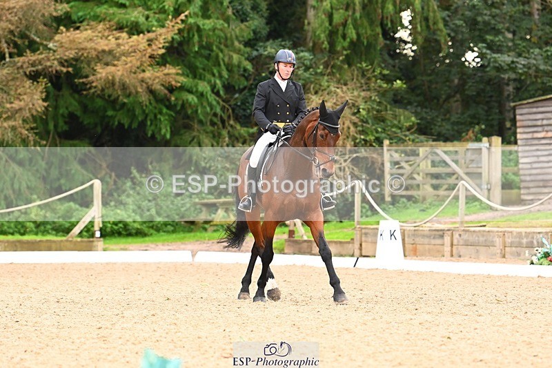 231020-152724-12001 - 313-CURTIS.DES.CHAUMES-Gilles.Serbource-DR