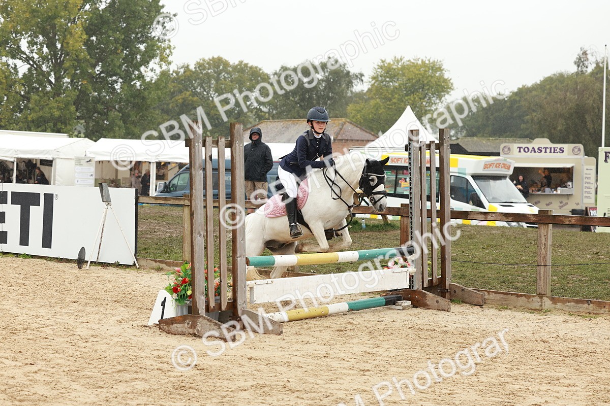 SBM_71203 - J14 - Junior Pony 65cm Championship