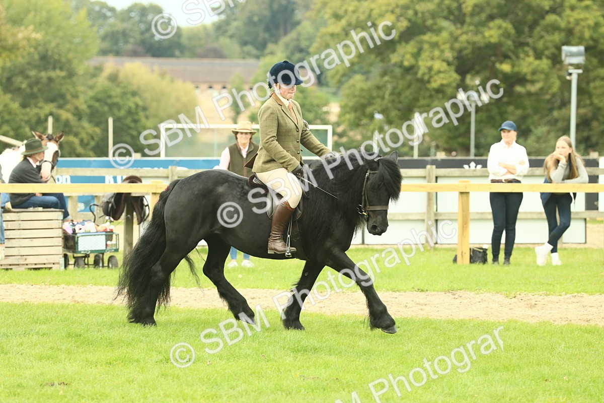 SBM_71923 - S60 - Mountain & Moorland Ridden Large Breeds