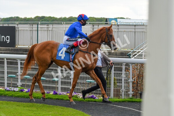 yr14052021r2-7 - Race 2 2.10pm Oak Farm Stables Fillies' Stakes (registered as the Michael Seely Memorial Stakes)