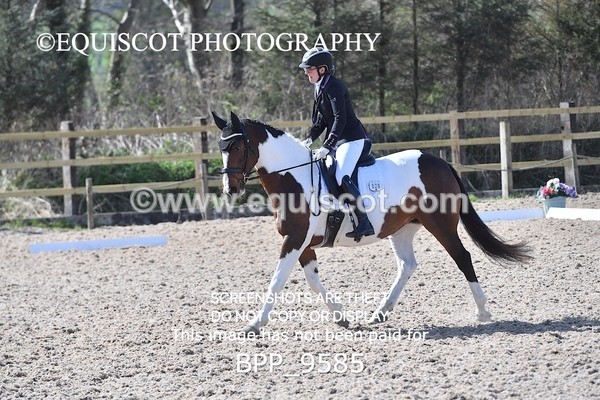 BPP_9585 - NOVICE 6