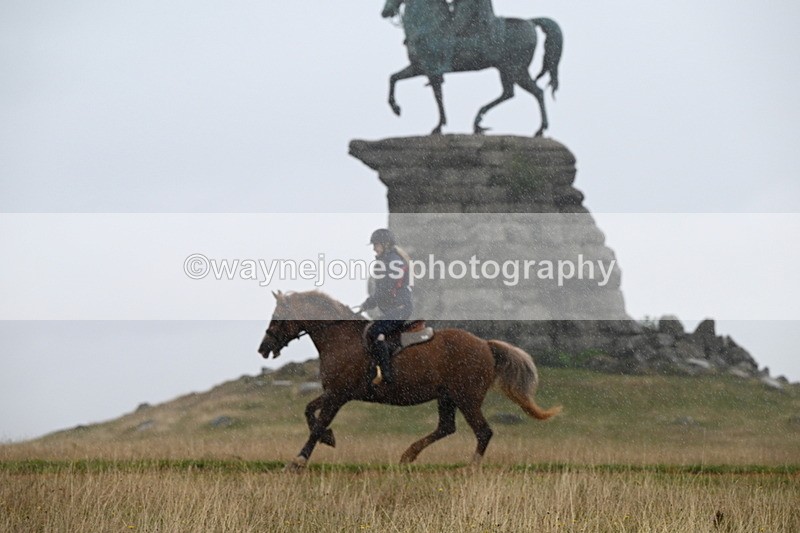 DSC_2834 - Time at Statue 12:59 to 13:49