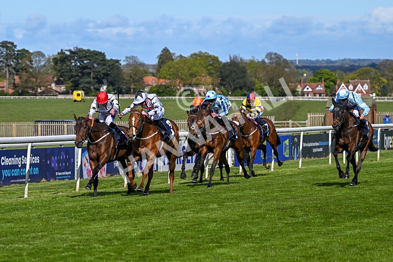 250424-Race 4-Classy Boy-1295 - Race 4