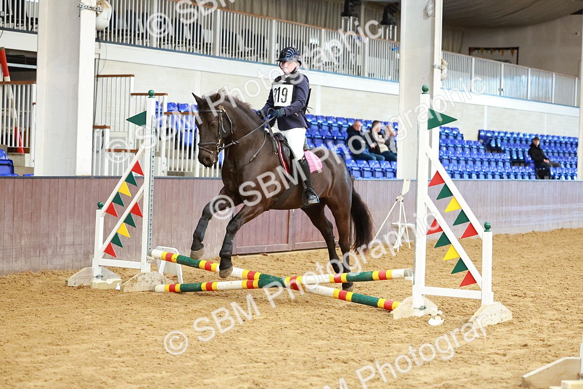 SBM_005238 - Class 1 - 40cm