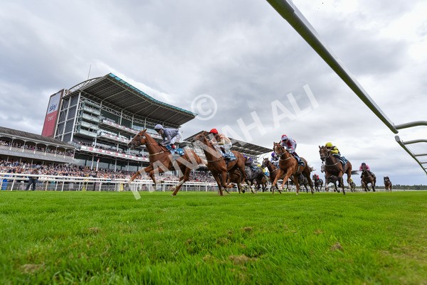 220824-Race 3-Thunder Run-4014 - Race 3 3.00pm Clipper Handicap
