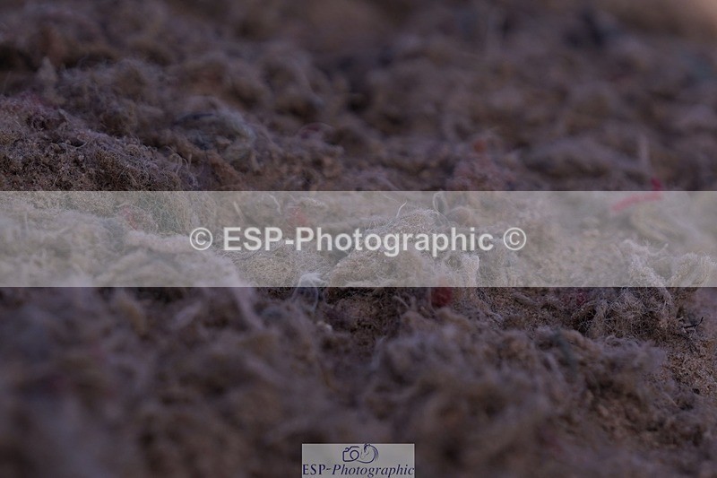 250629-183554-13938 - Cls 34 Springboard 128cm and 138cm