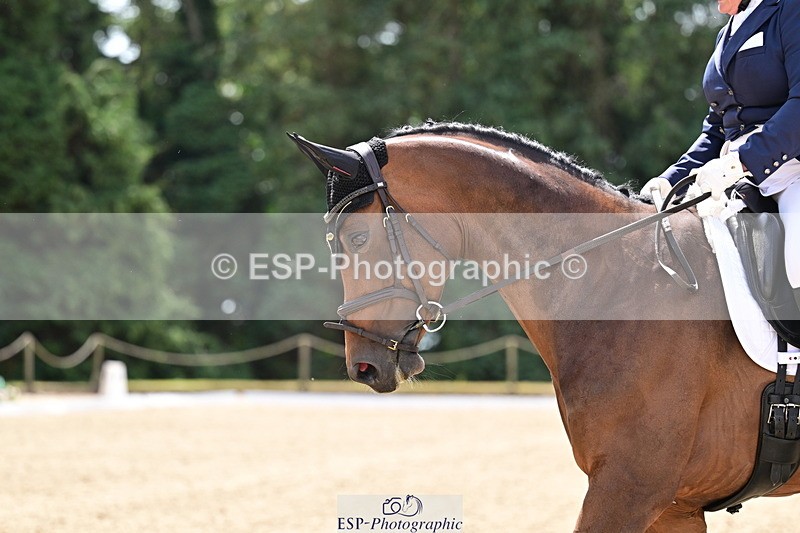 260802A-121001-06122 - Novice Silver break- end