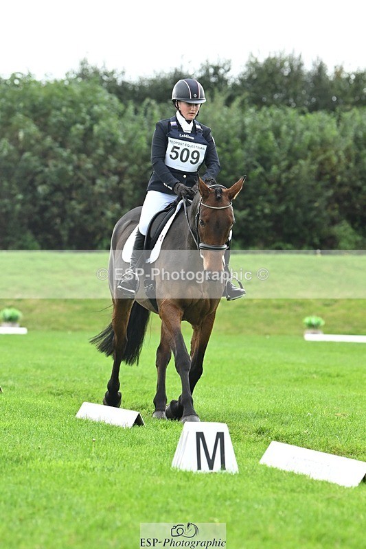 241024-114607-03314 - 509-Tichy.Sanders-SPARHANGER.VELVET