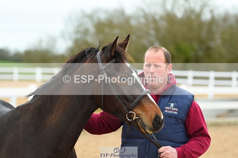 230416A-140436-04735 - Cls 46+43 In Hand Warmbloods and Foreign