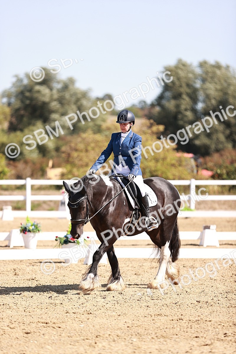 SBM_004603 - Class 12 - Novice 5 - 10.31-11.41