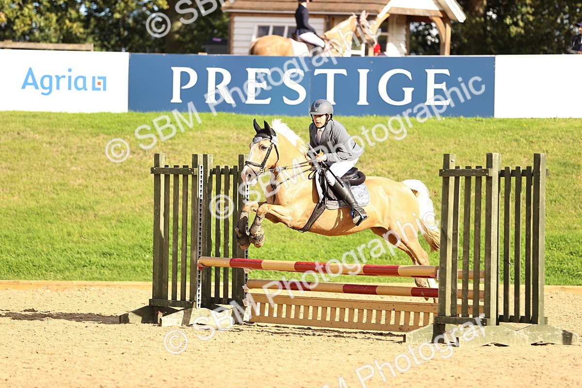 SBM_51365 - J10 - Junior Pony 75cm Championship