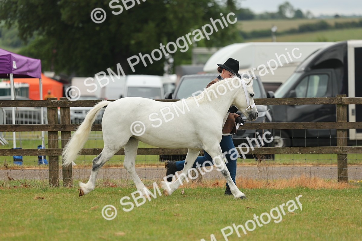 SBM_01511 - Class 50-57 - M&M Welsh Pony In Hand