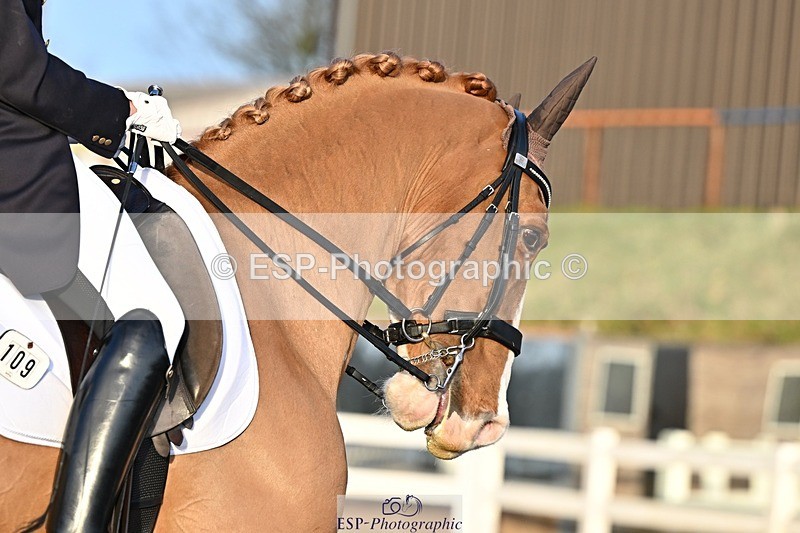 241214-145011-02974 - 109-Katharine.Lewis-Albertho.B