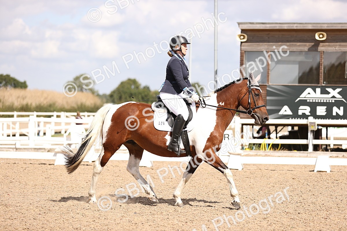 SBM_03707 - CLass 35 Intro 3