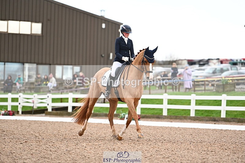 240218A-104010-06177 - 272-Beth.Bainbridge-Newton.Dreamcatcher