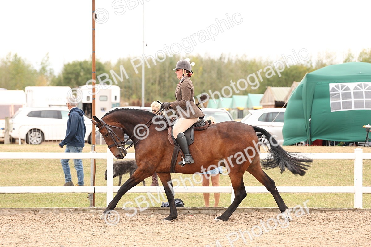 SBM_17236 - Class 213 - Ridden Hunter - Large