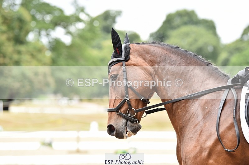 140110A-010542-10825 - 059-Jane.Murray-Hebog.Mischief