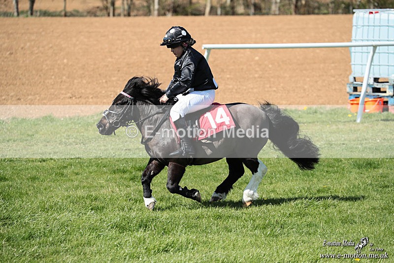 Shet 060426 331 - Shetland Pony Racing Paxford Races Easter Mon 06/04/26