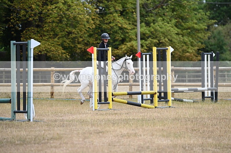 WJ6_0271 - Class 13 Novice Jumping 60cm
