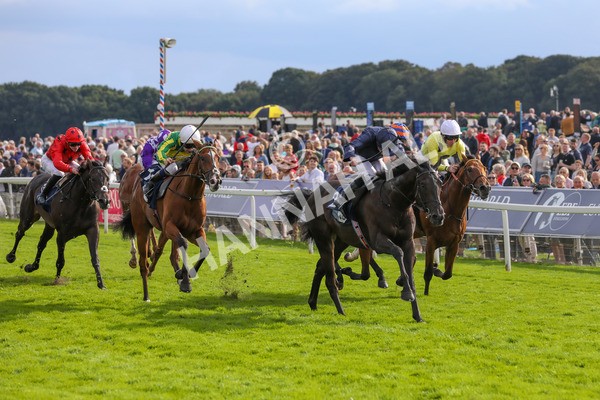 250823-Race 6-Battle Cry-5937 - Race 6 4.45pm British EBF 40th Anniversary Convivial Maiden Stakes