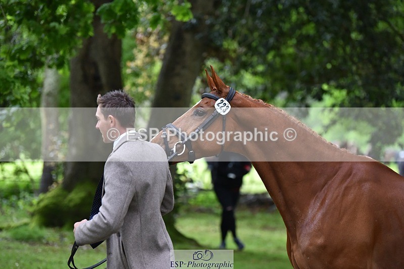 240522-165052-01198 - 223-MORNINGSTAR_VAN_ALTRIDO-Max_Warburton