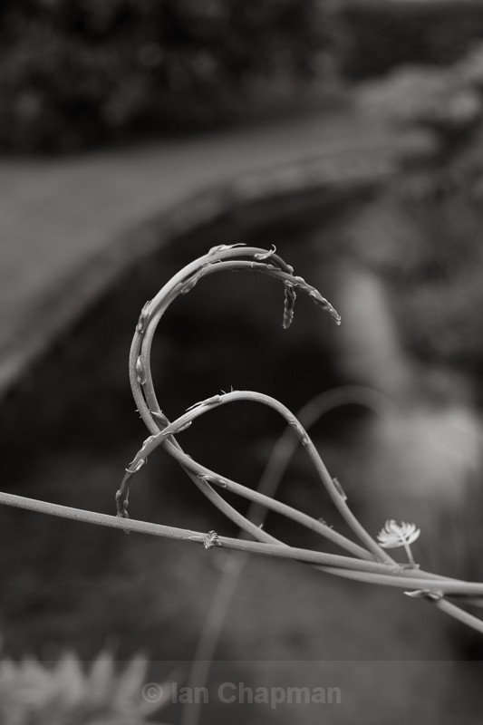  - Far Other Worlds