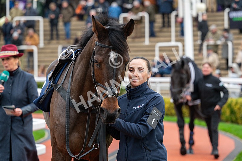 161125-Race 4-Protektorat-1570 - Race 4