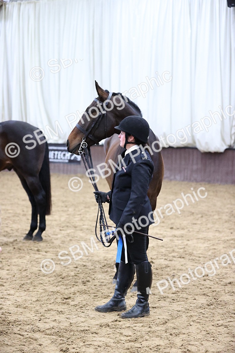 SBM_5777 - Class 3 - BSHA In Hand Show Hunter
