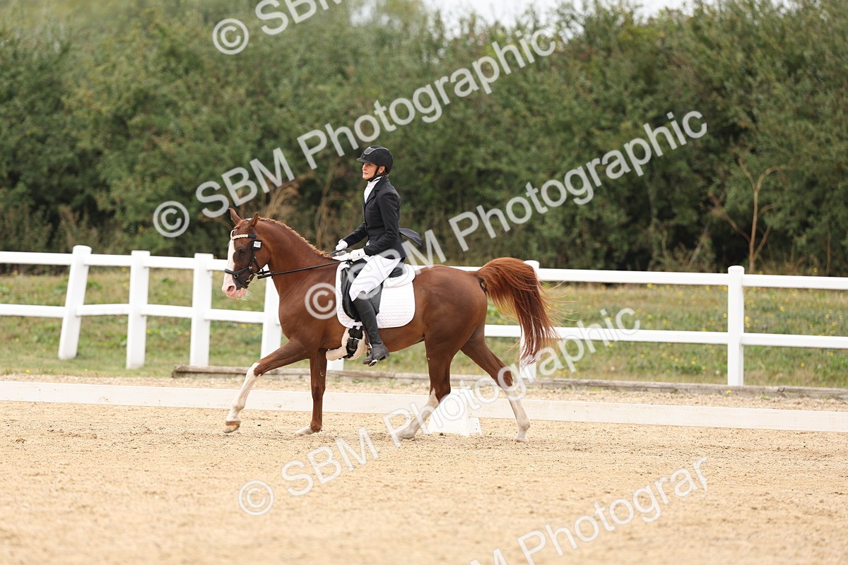 SBM_02077 - Class 8 - Novice 27 Champs