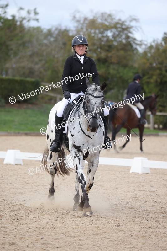 20261010-0714 - Class 6 - Novice 2