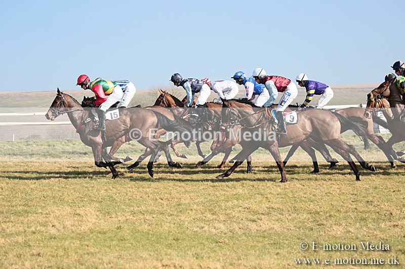 PtP 230219 68 - Vine & Craven Point-To-Point - Barbury 23/02/19