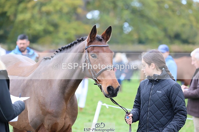 251026A-110817-25250 - G-504-Eliza.Langman-Rouse