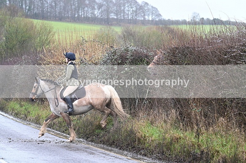 WJ7_7117 - Crossing A Camera