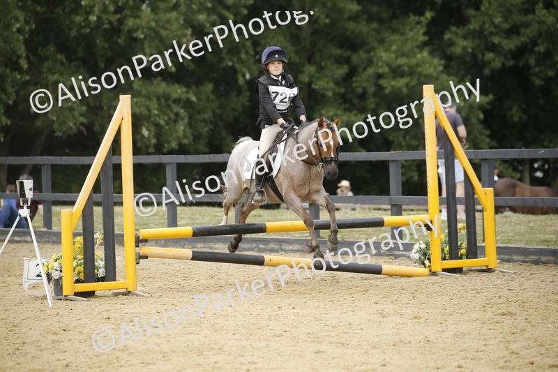 20250622-6065 - 60cm