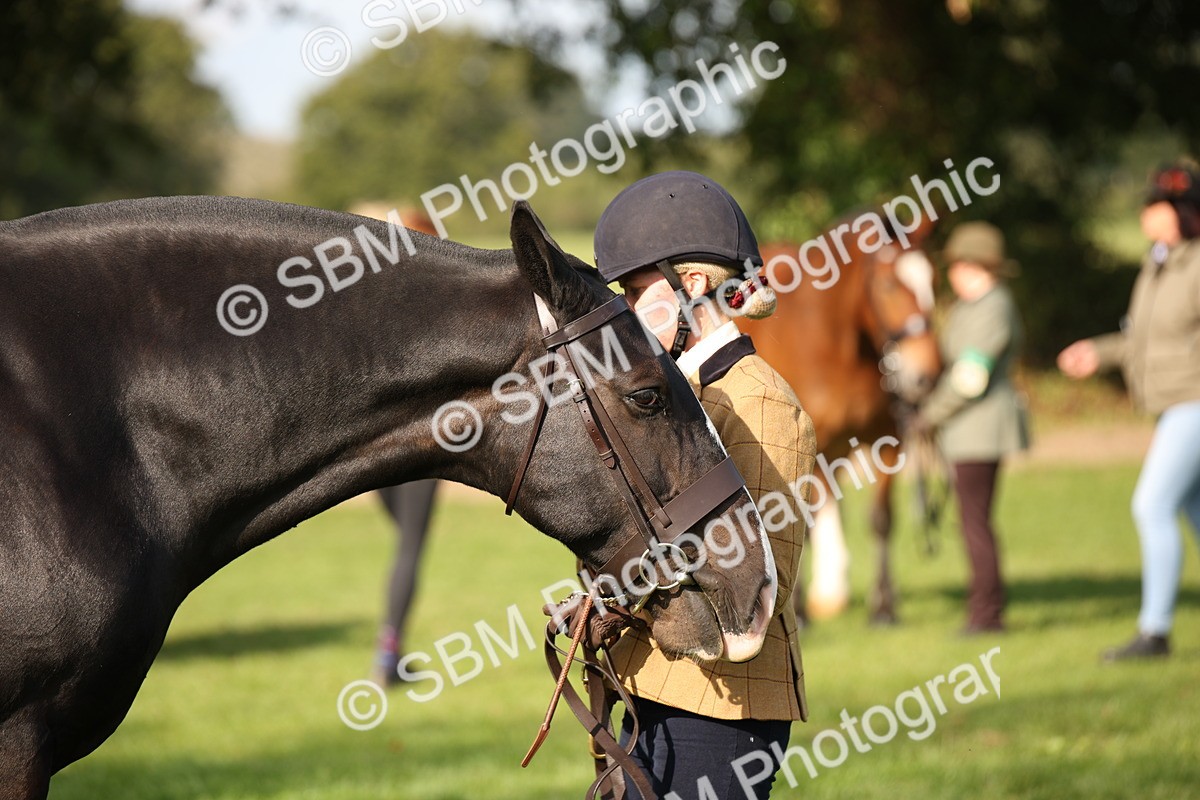 SBM_61189 - S54 - Show Cob In Hand