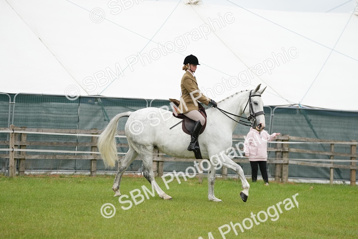 SBM_12518 - Class 97-98 - LIHS BSHA Rising Star Working Show Horse Hunter