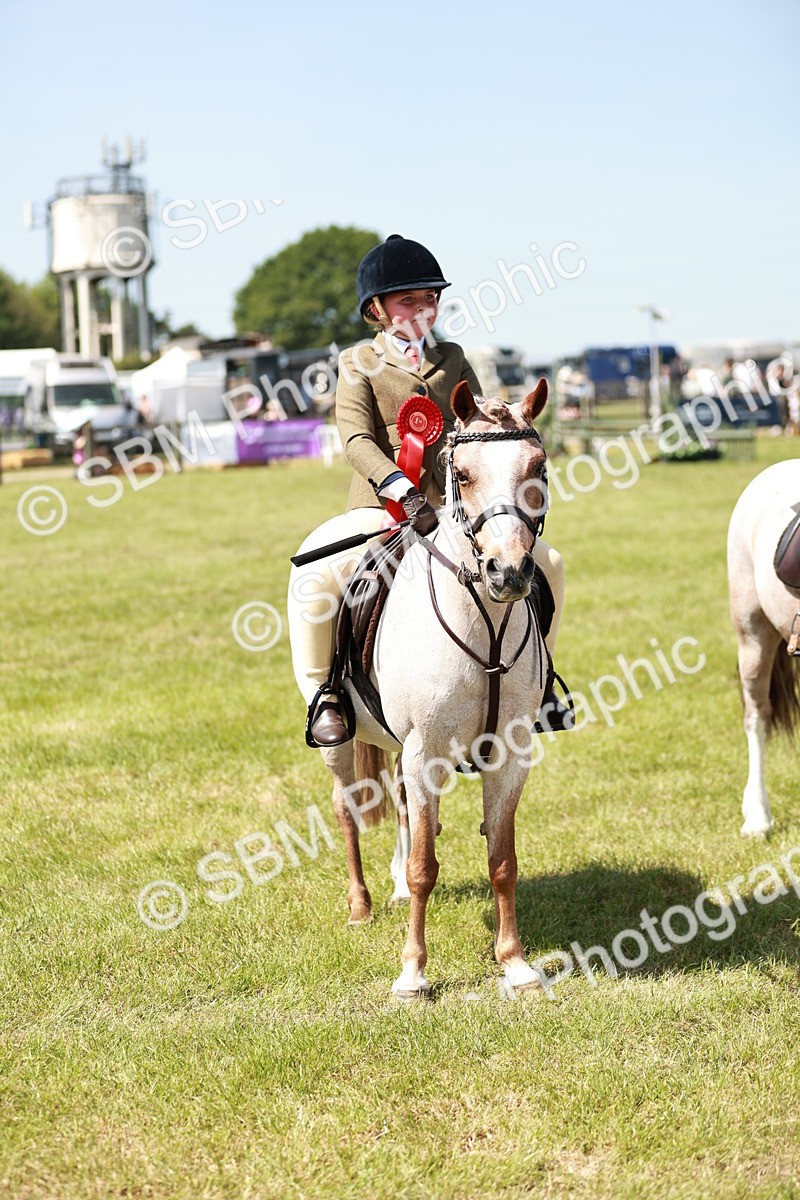 SBM_13646 - Class 108-109 - BSPS LIHS Open Gradle & Nursery Stakes