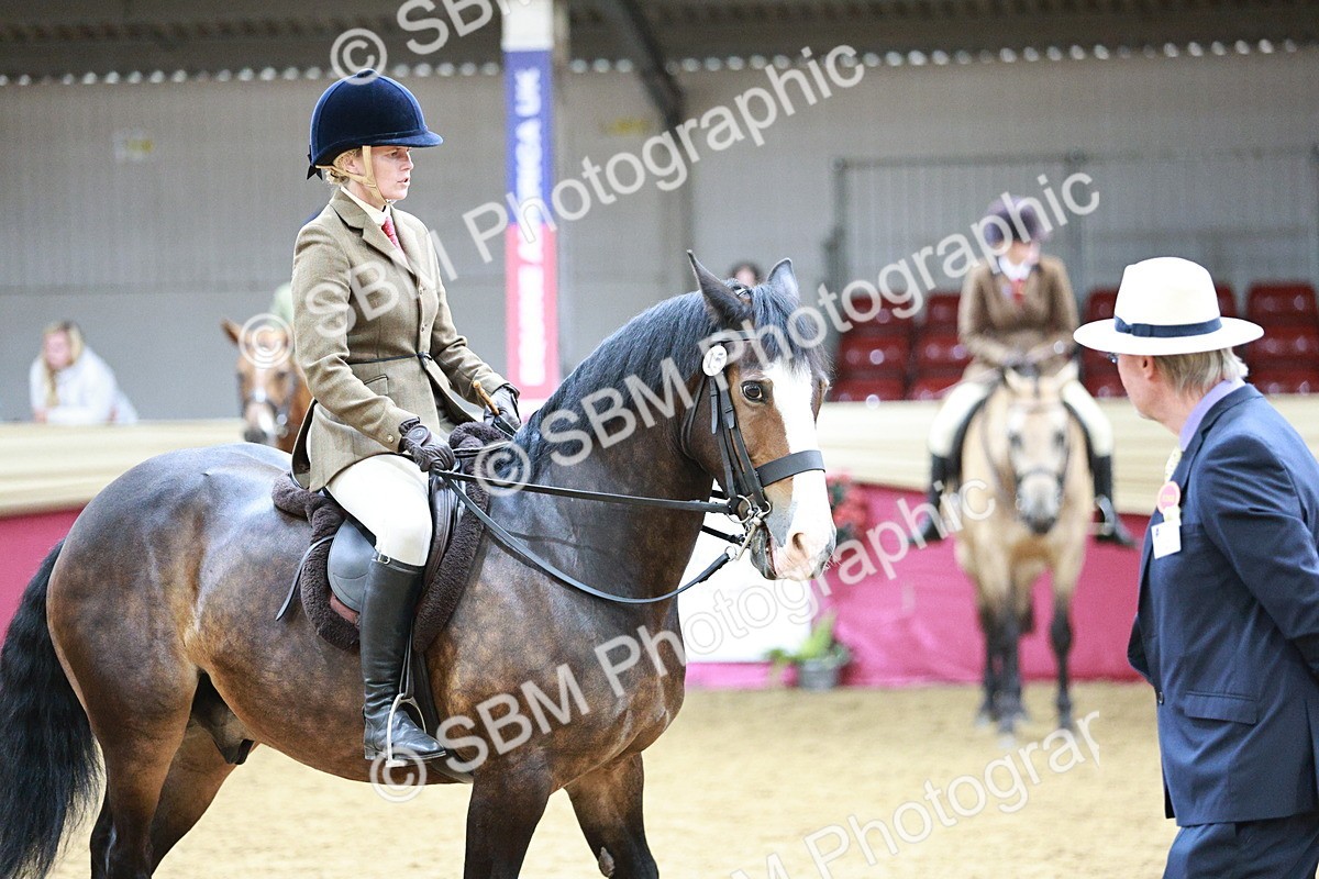 SBM_03587 - Class 6A Area Ridden Pre-Vet