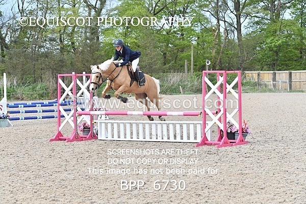 BPP_6730 - CLASS 2 FRI Club/ Unaffiliated 80cms Open