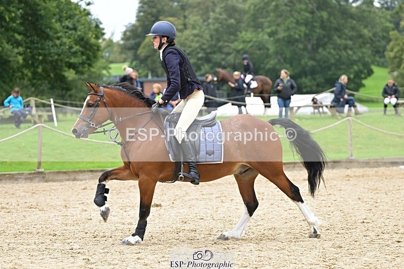 240929-123943-00708 - Cls 2 80-85cm 12.15 to End