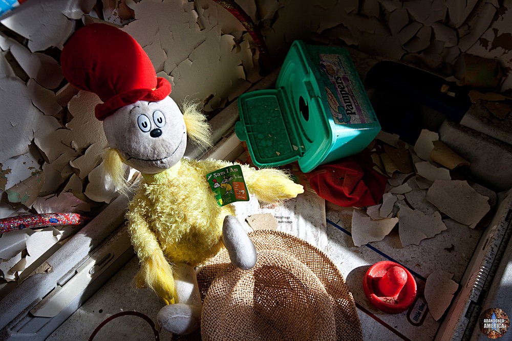 Rockland State Hospital (Orangeburg, NY) | Sr. Seuss Toy - Rockland State Hospital