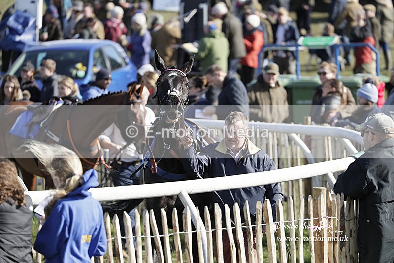 PtP 100423 969 - Old Berkshire Point-to-Point Lockinge 10/04/23