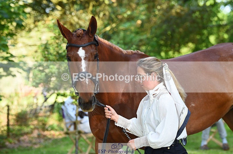 230524-164330-01053 - 112-BILLY_MAPLE-Kitty_King-WEDTrotUp+DR