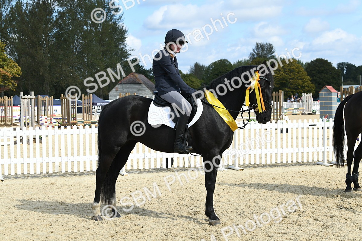 SBM_61822 - j25 - Junior Horse 80cm Championship
