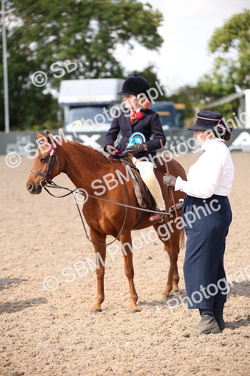 SBM_03082 - Class 17 Prettiest Mare IH or Ridden