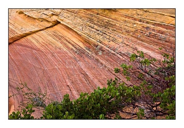 South Coyote Buttes - Arizona